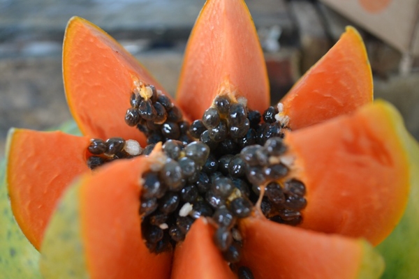 Beste-trai-cay