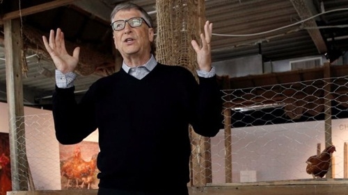 bestie Bill Gates day lam giau