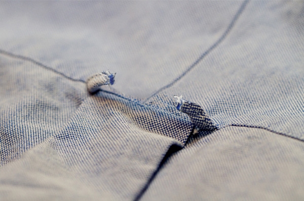 bestie cong dung cua mot so vat nho it ai chu y 2