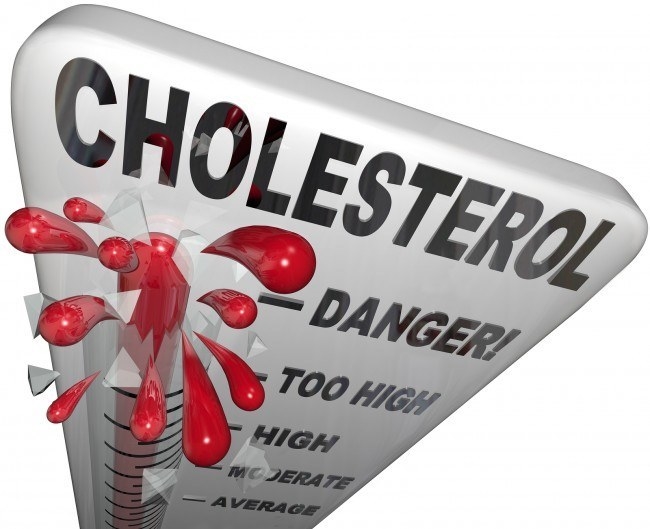 Bestie cholesterol cao