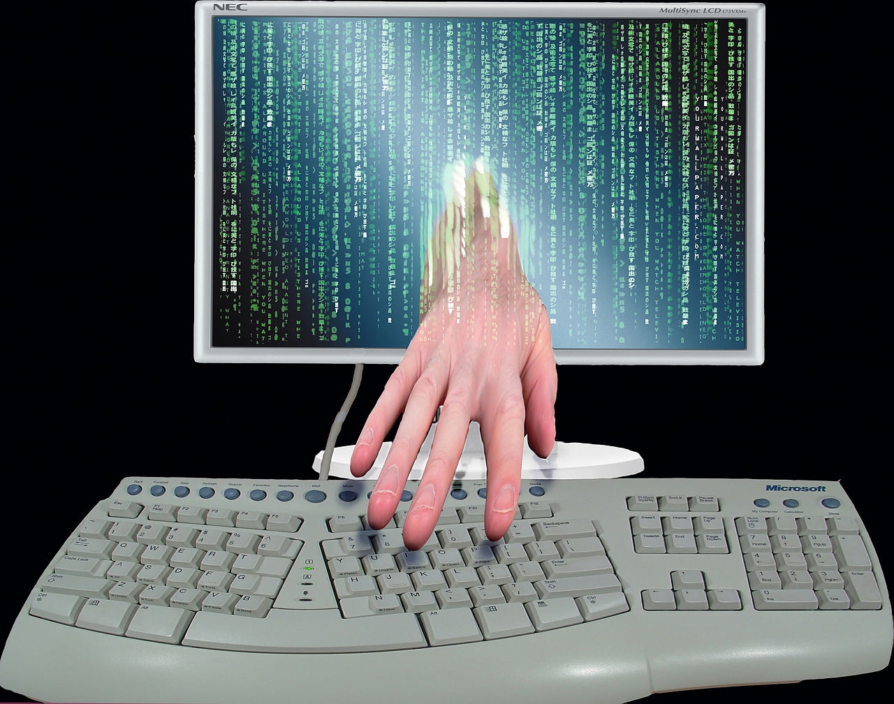 Bestie-hacker