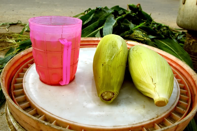 Bestie nuoc rau ngo