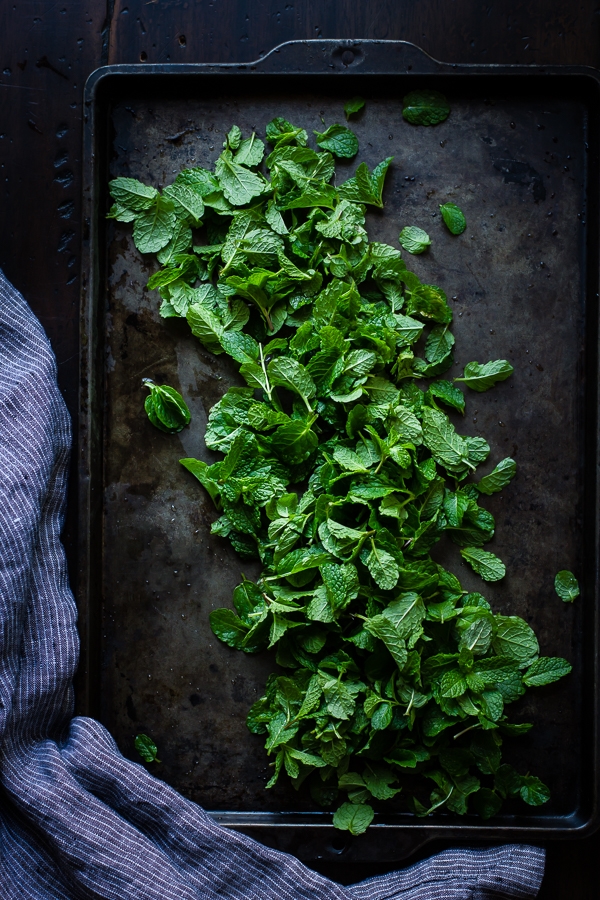 bestie matcha mint chip 4
