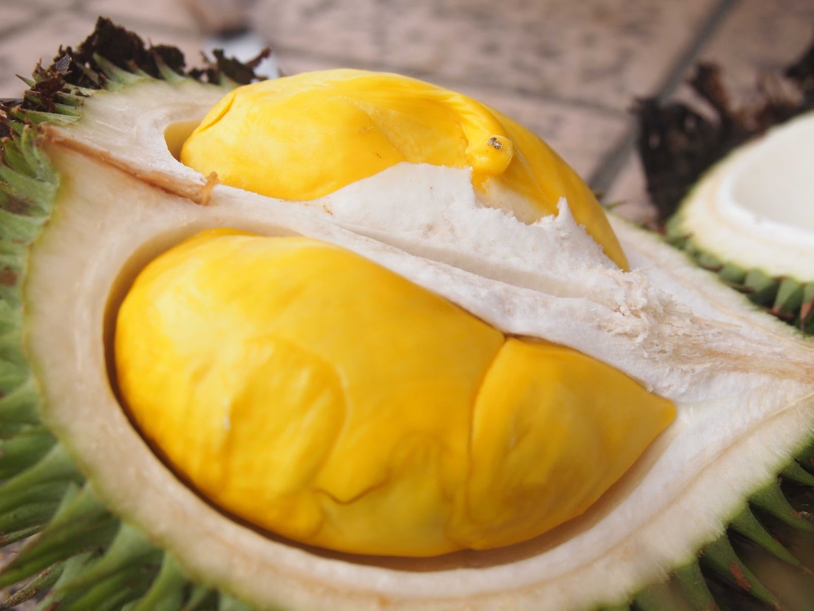 bestie pudding sau rieng 2