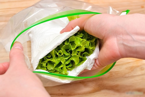 Muốn bảo quản xà lách tươi lâu bạn chỉ cần 3 chiếc tăm hoặc khăn giấy