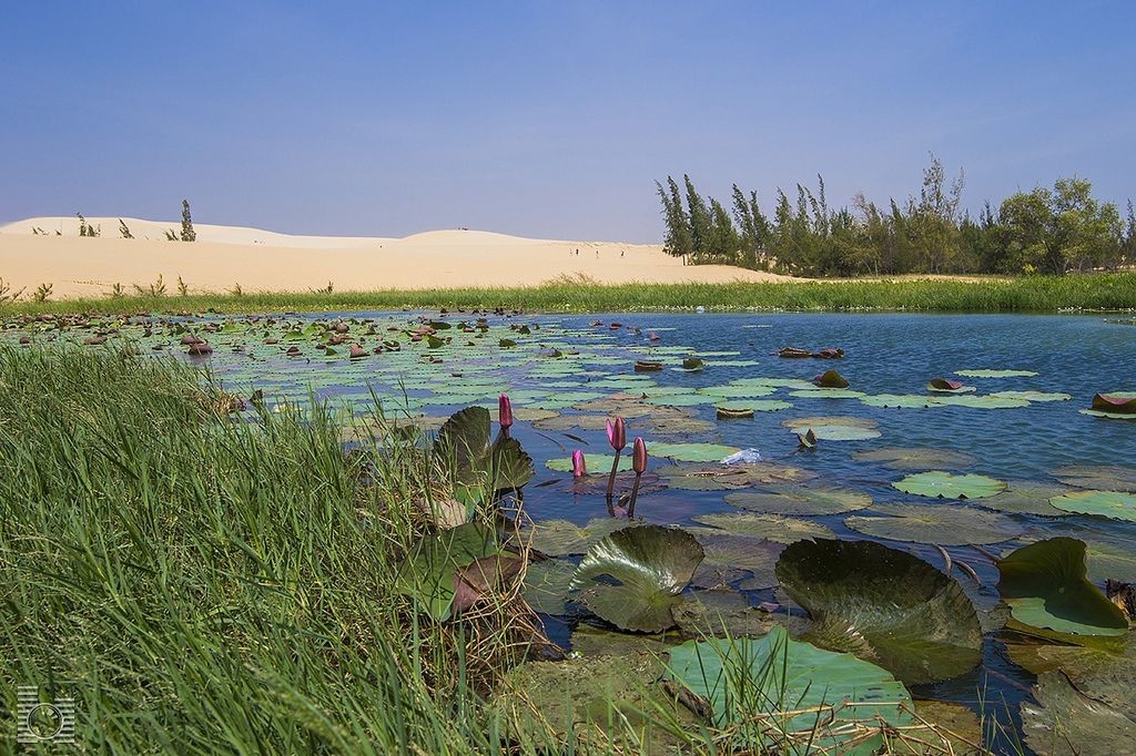bestie du lich phan thiet 6