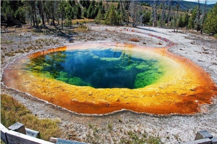 bestie The Grand Prismatic Spring 7