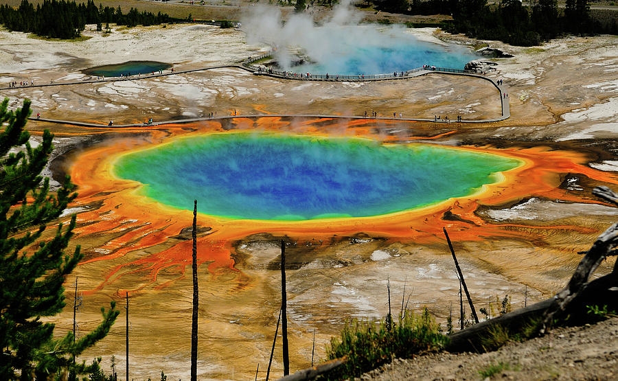 bestie The Grand Prismatic Spring 6