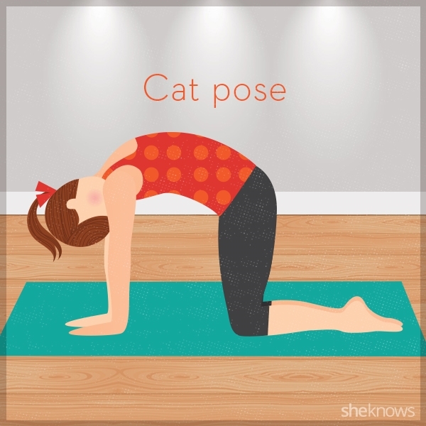 Bestie cat pose