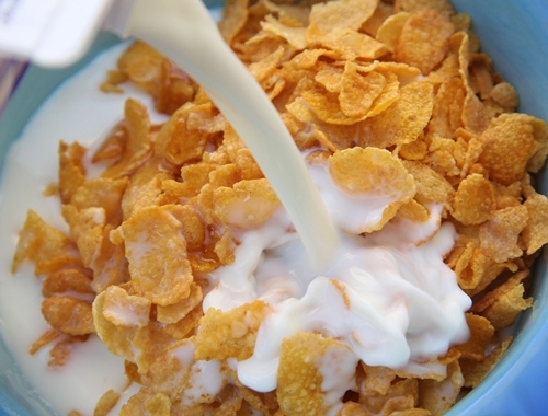 Bestie sua tuoi ngu coc