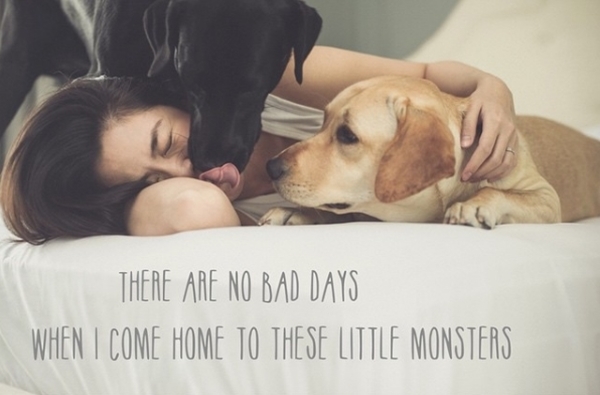 Hai chú chó tên Molly và April được “Ngọc nữ” ưu ái gọi là “Con yêu của mẹ”.