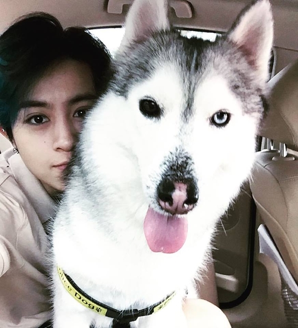 Nếu như Chi Pu yêu thích những chú mèo nhỏ xinh thì Gil Lê lại dành trọn tình yêu cho chú chó thuộc họ Husky có tên Mocha.