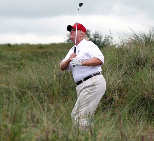 Bestie donald Trump