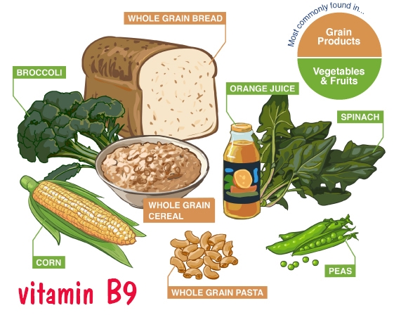 Bestie vitamin b9