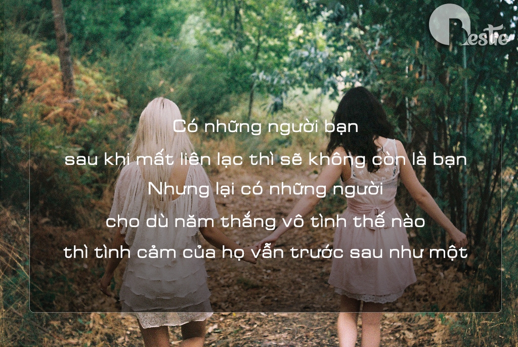 Những câu nói hay cho bạn biết thế nào là tình bạn thật sự