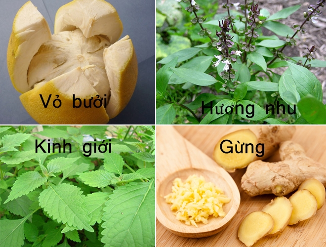bestie tu lam nuoc tam 2