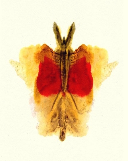 Hermann-Rorschach