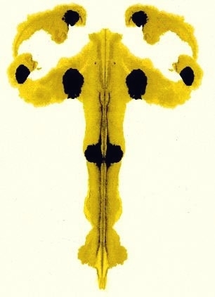 Hermann-Rorschach