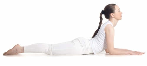 Bestie cobra pose
