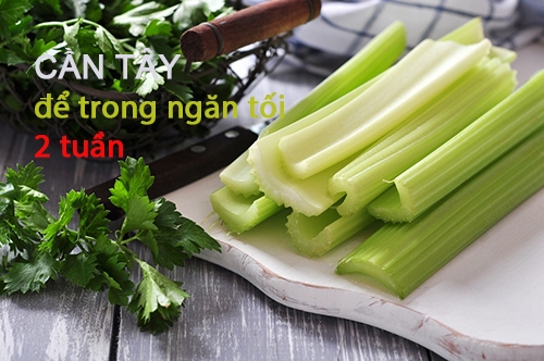 bestie bao quan thuc pham 11