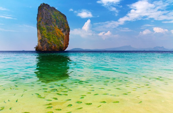 bestie du lich Krabi 6