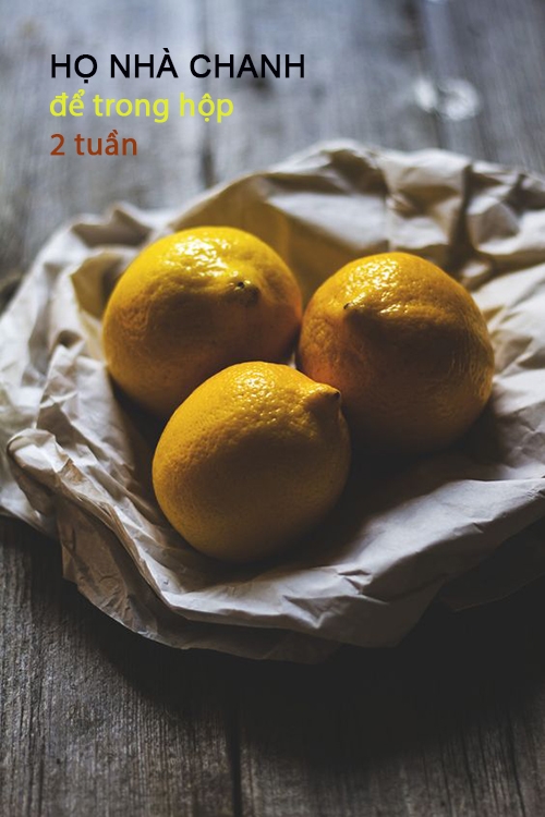 bestie bao quan thuc pham 10