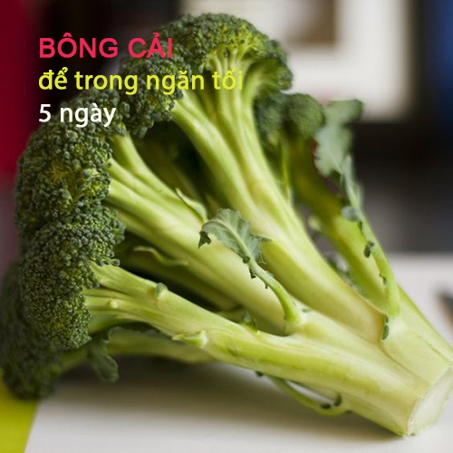 bestie bao quan thuc pham 3