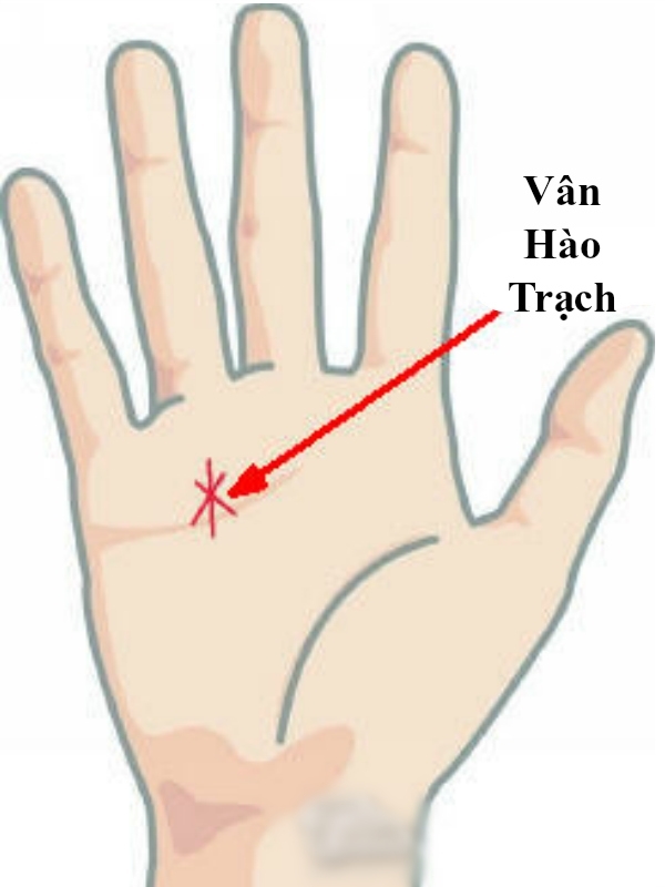 bestie-soi-duong-chi-tay-doan-ngay-van-menh