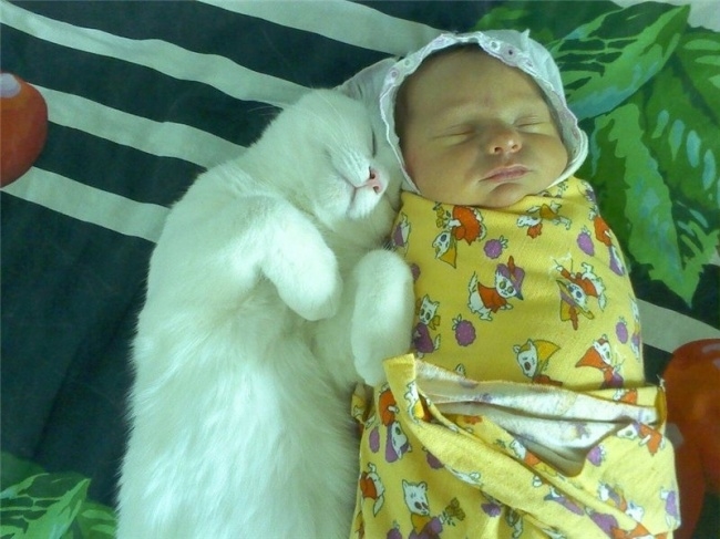 23 bức ảnh tuyệt vời mà chỉ ai đã làm cha mẹ mới thấu hiểu