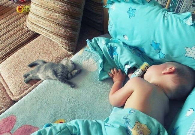 23 bức ảnh tuyệt vời mà chỉ ai đã làm cha mẹ mới thấu hiểu