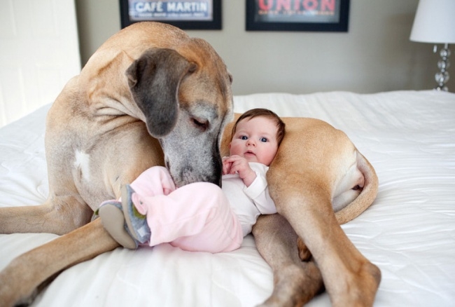 23 bức ảnh tuyệt vời mà chỉ ai đã làm cha mẹ mới thấu hiểu