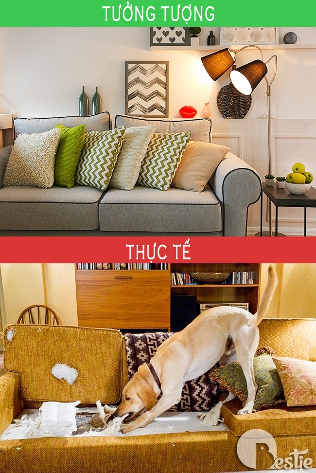 Bộ ảnh cuộc sống gia đình: thực tế quá "nghiệt ngã" so với tưởng tượng