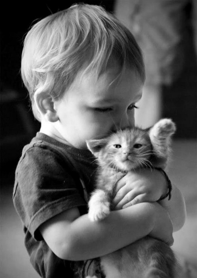 Bộ ảnh chứng minh vì sao đứa bé nào cũng muốn có thú cưng làm bạn thân