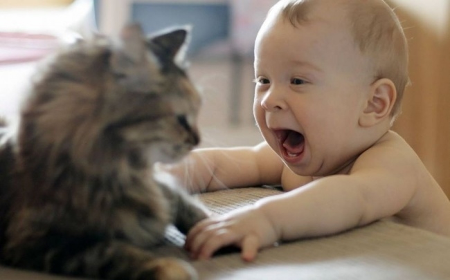 Bộ ảnh chứng minh vì sao đứa bé nào cũng muốn có thú cưng làm bạn thân