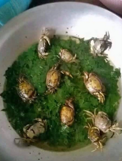bestie tai nan bep nuc 5