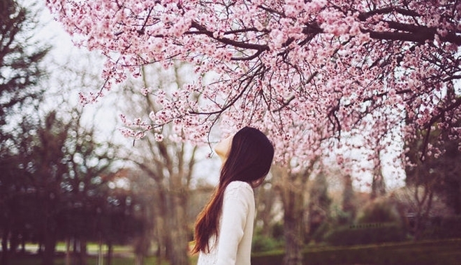 Đừng bắt đầu tình yêu mới khi mà lòng còn chưa quên được người cũ