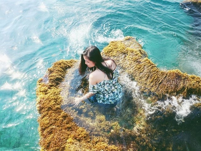 bestie du lich ninh thuan