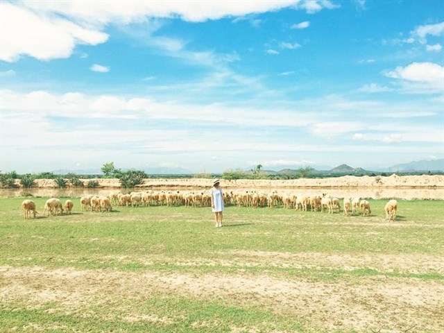 bestie du lich ninh thuan