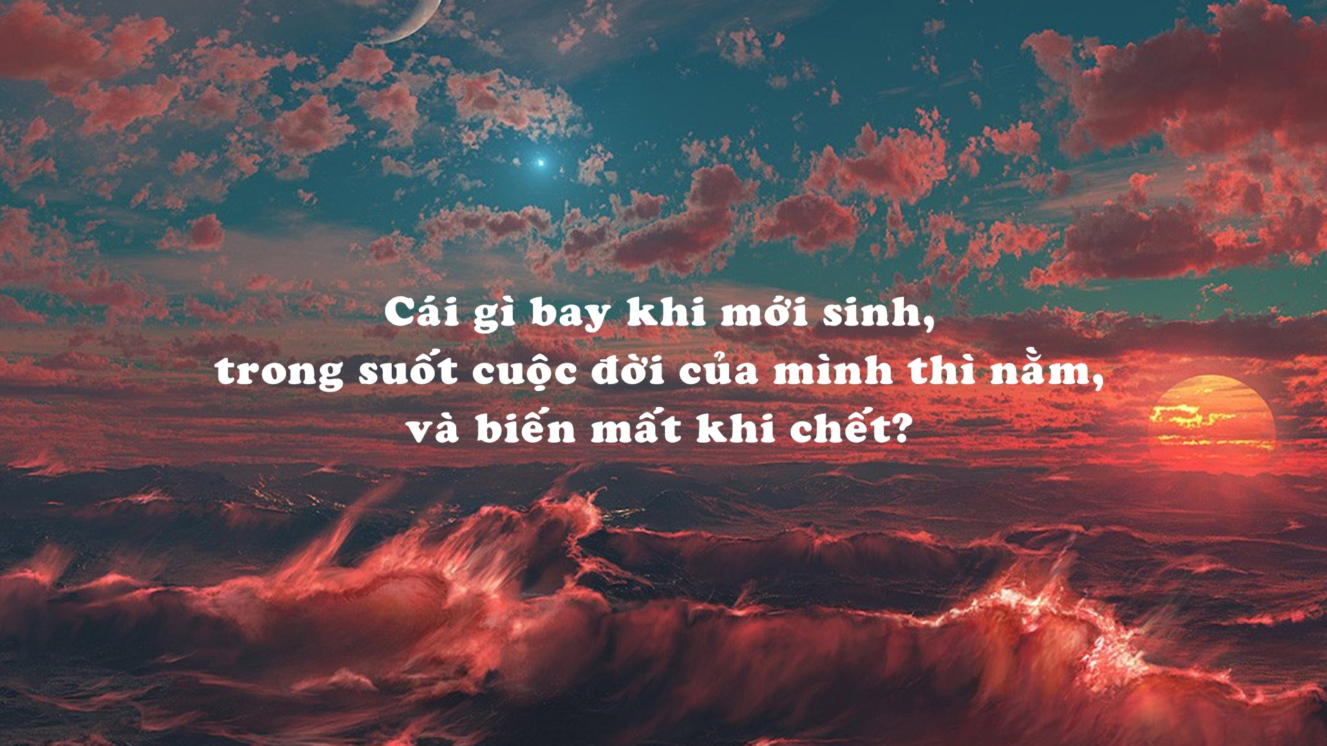 Bestie-cau-do-thu-vi