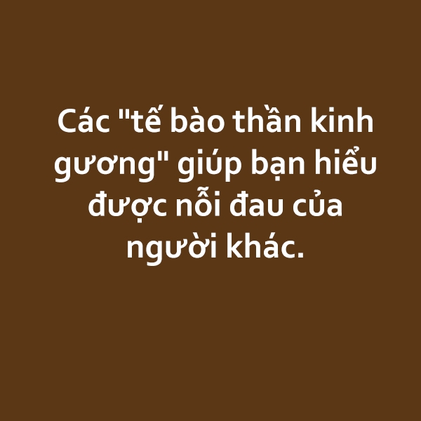 Bestie tam li