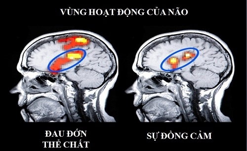 8 mẹo nhỏ bạn giúp đạt được cuộc sống viên mãn, hạnh phúc trọn vẹn