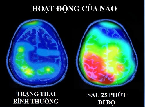 8 mẹo nhỏ bạn giúp đạt được cuộc sống viên mãn, hạnh phúc trọn vẹn