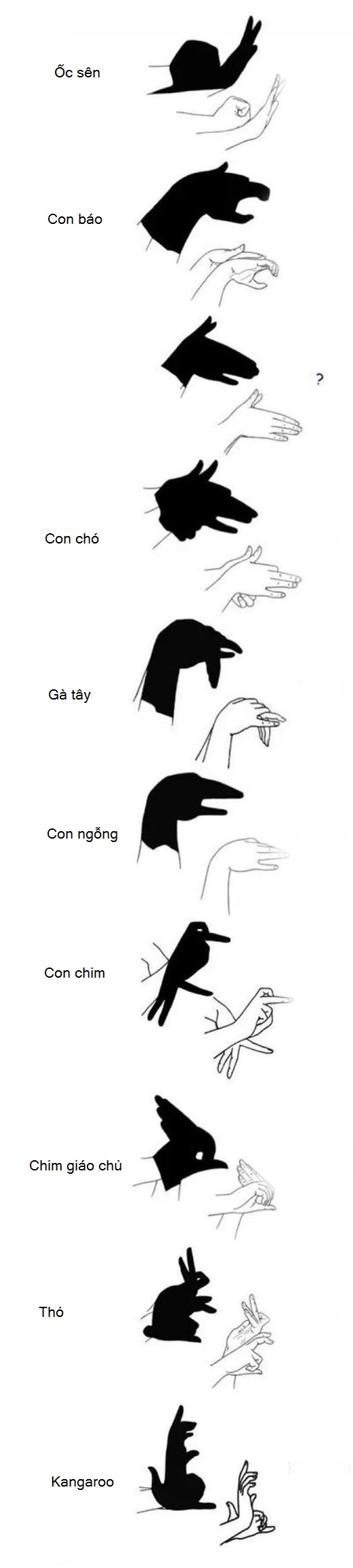 bestie-tao-bong-hinh-con-vat