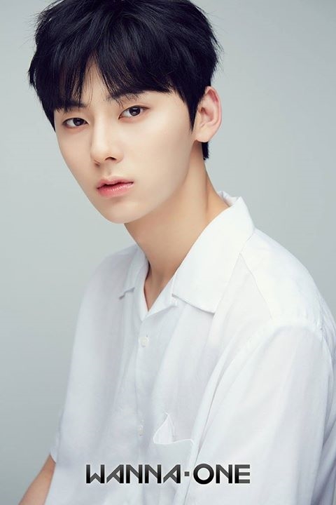 bestie Idol thich hop lam model