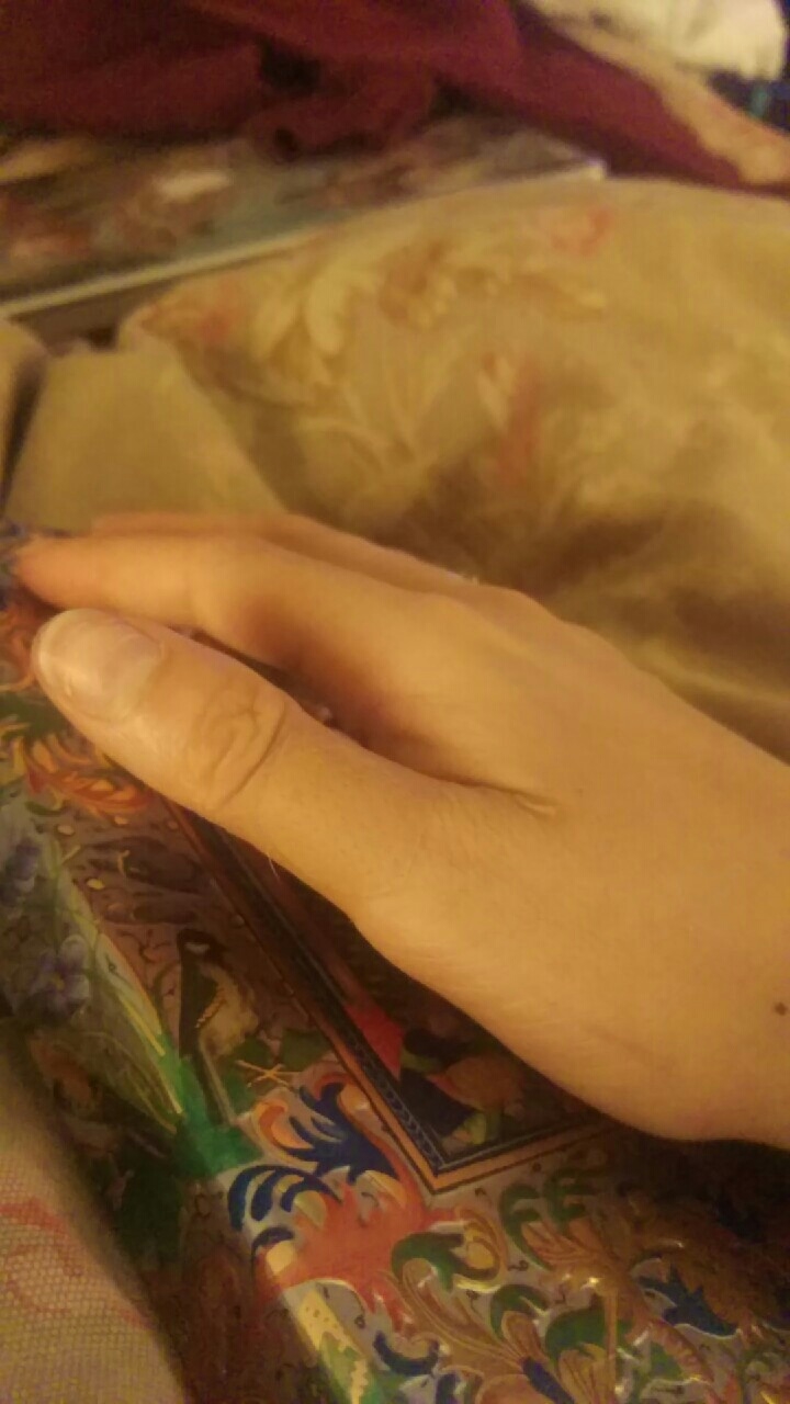 bestie nguoi va vat dung hang