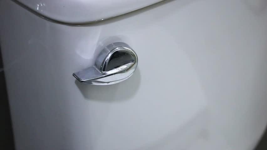 bestie toilet