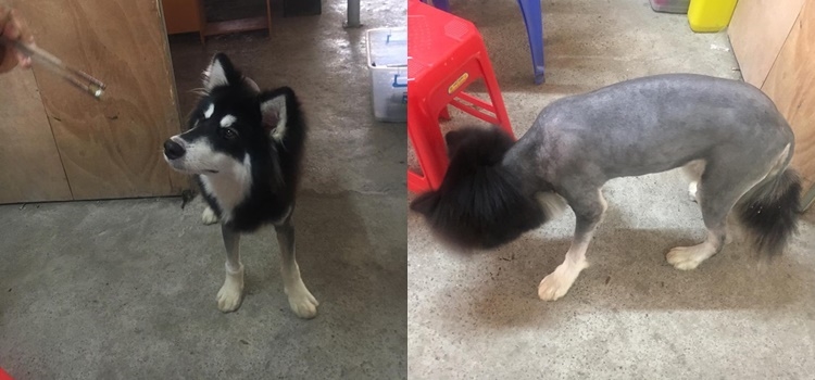 bestie anh vui ba dao dau tuan