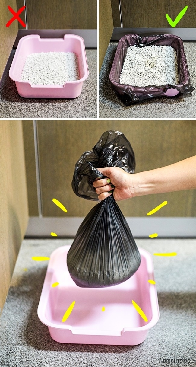 10 mẹo nhỏ giúp cuộc sống dễ dàng hơn mà chắc chắn bạn vẫn chưa biết