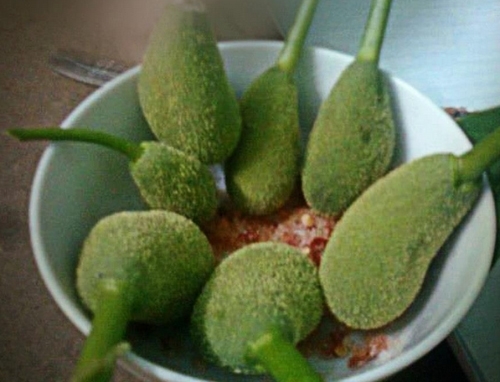 bestie nhung hinh anh cho thay bạn da gia neu biet het tat ca