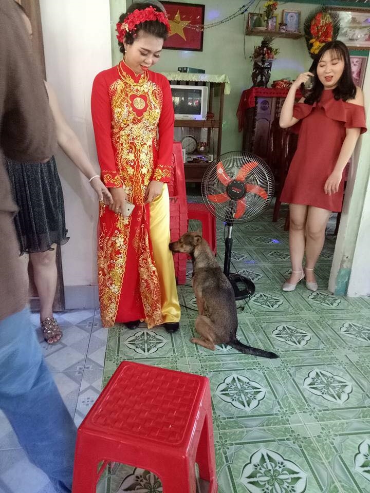 bestie chu cho khoc khi co chu len xe hoa ve nha chong